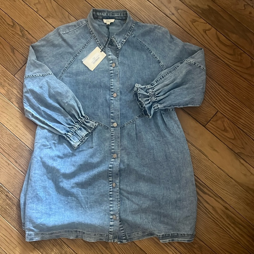 Elan Denim Button Down Dress